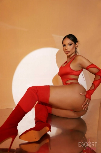 Immagine dalla galleria di Catarina - Escort Milano - 3514185718