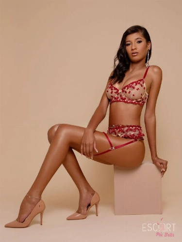Immagine dalla galleria di Livia Cat - Escort Milano - 3889580026