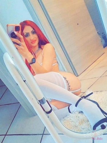 Immagine dalla galleria di Alis - Escort Bologna - 3884631827
